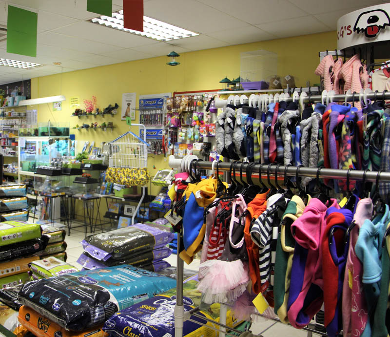 Canine Pet Boutique and Deli Pet Shops & Animal Care Sunridge Village