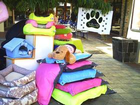 Canine Sunridge Bed Display
